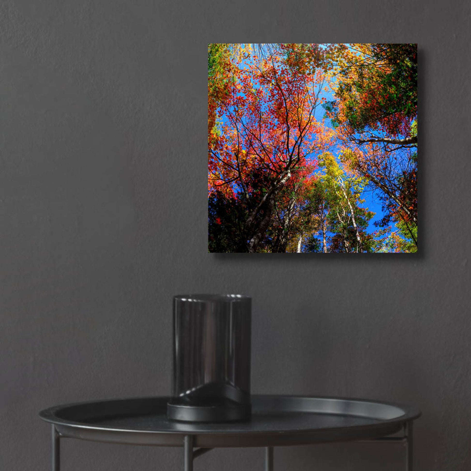 Epic Art 'Colorful Autumn' by Lena Owens, Acrylic Glass Wall Art,12x12