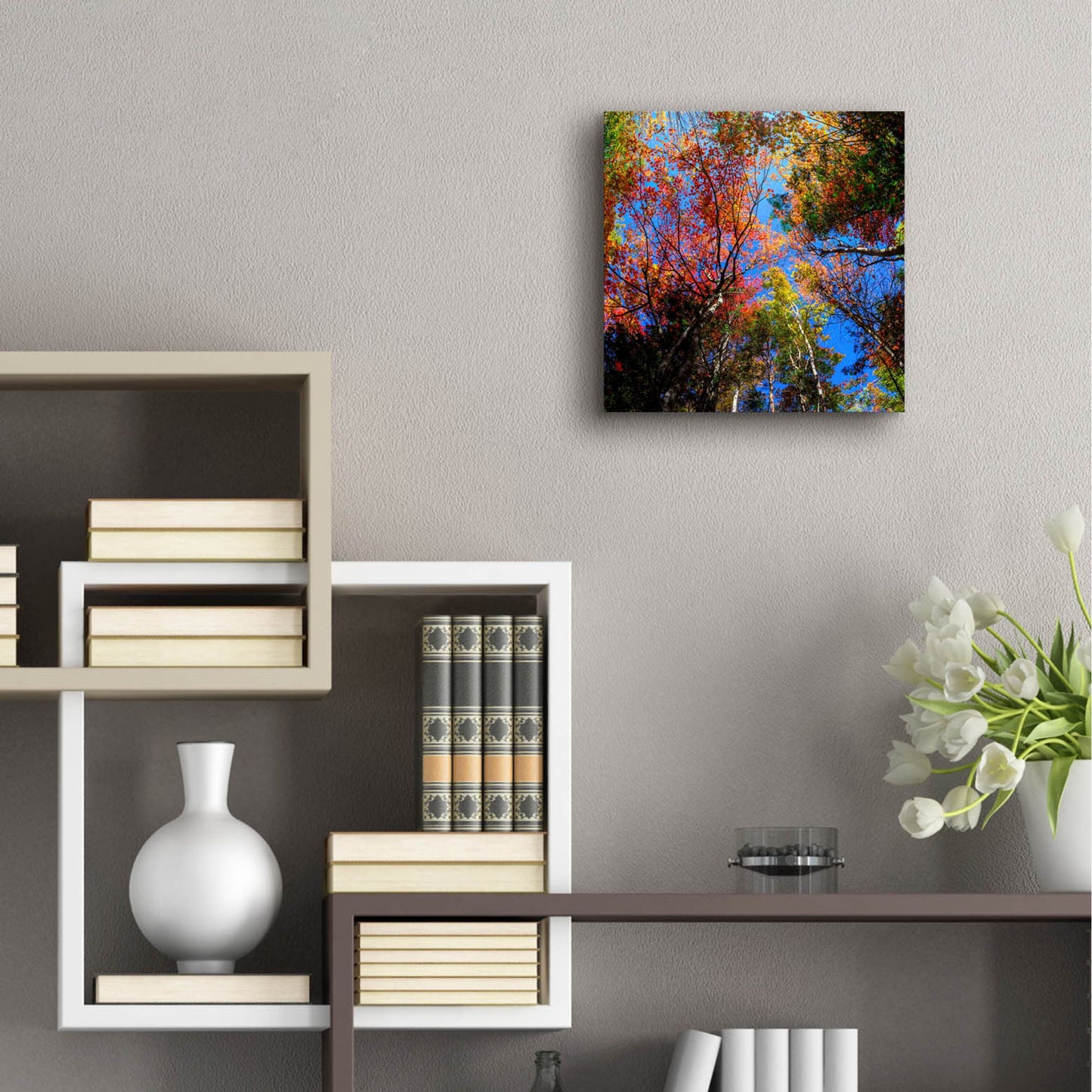 Epic Art 'Colorful Autumn' by Lena Owens, Acrylic Glass Wall Art,12x12