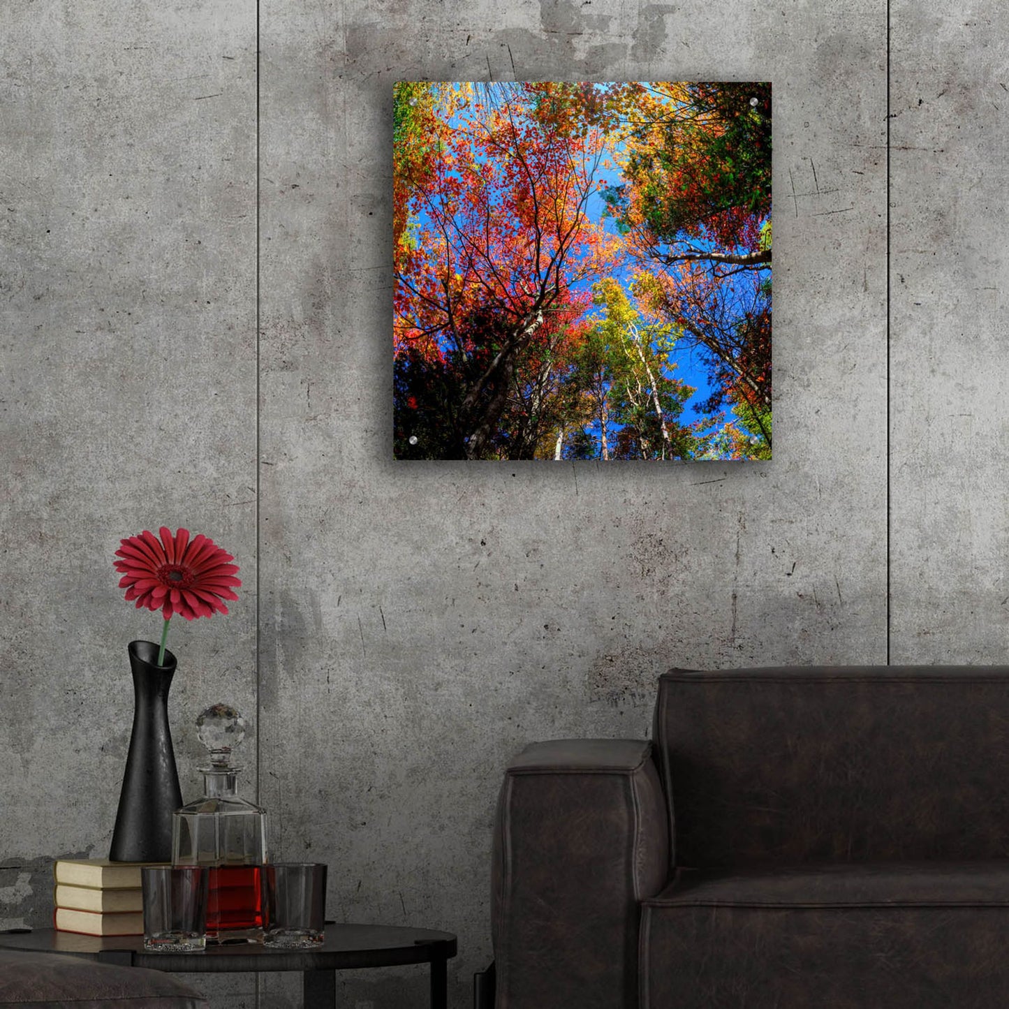 Epic Art 'Colorful Autumn' by Lena Owens, Acrylic Glass Wall Art,24x24