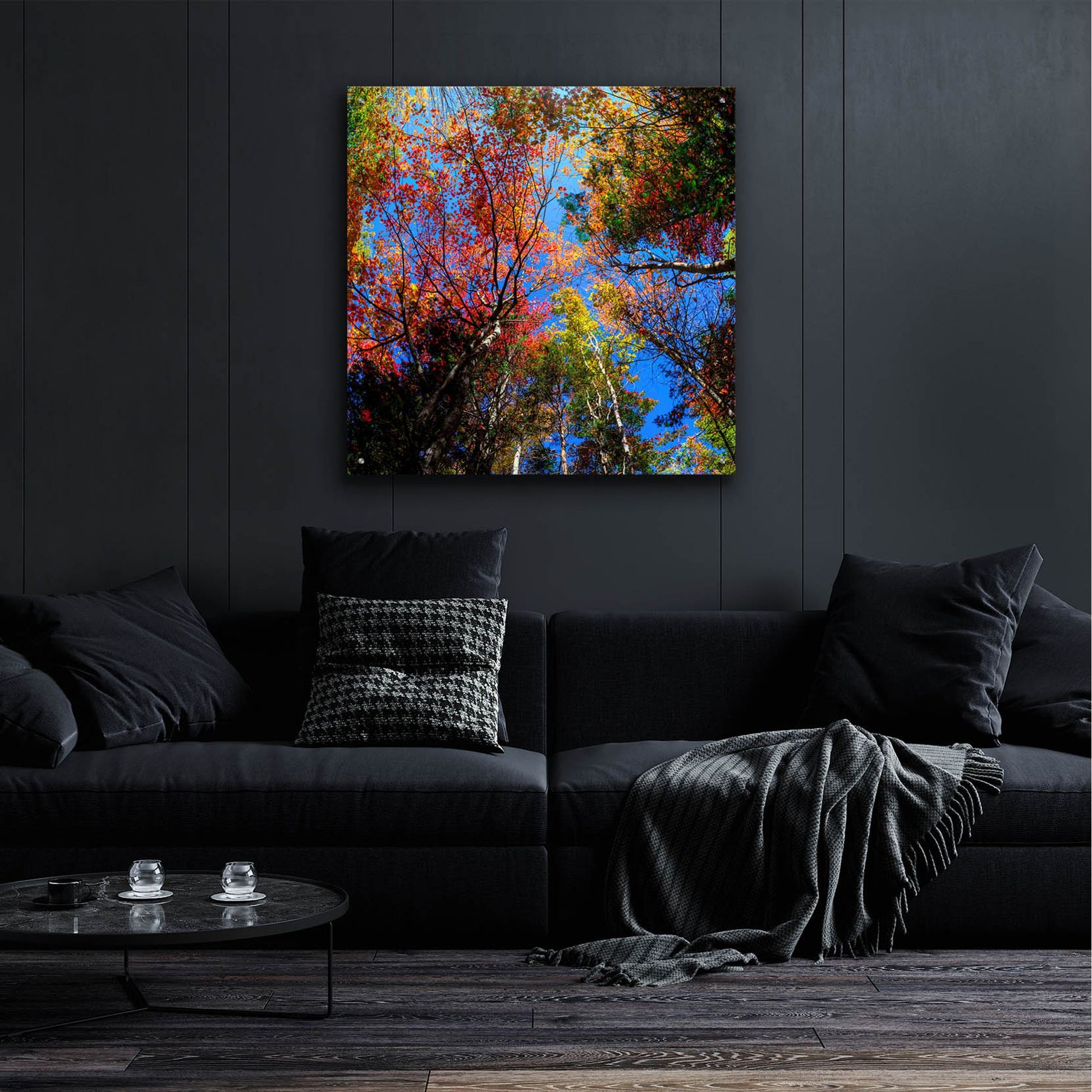 Epic Art 'Colorful Autumn' by Lena Owens, Acrylic Glass Wall Art,36x36