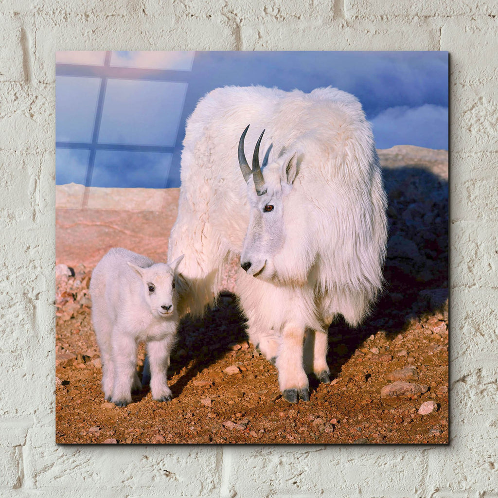 Epic Art 'Above The Clouds Mother and Kid' by Lena Owens, Acrylic Glass Wall Art,12x12