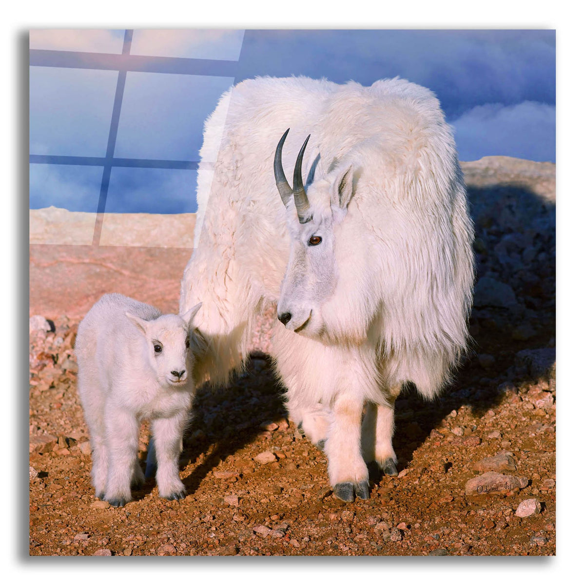 Epic Art 'Above The Clouds Mother and Kid' by Lena Owens, Acrylic Glass Wall Art