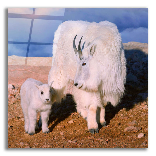 Epic Art 'Above The Clouds Mother and Kid' by Lena Owens, Acrylic Glass Wall Art