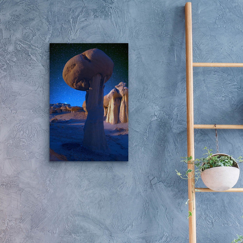 Epic Art 'Just a Rock in the Valley of Dreams' by Lena Owens, Acrylic Glass Wall Art,16x24