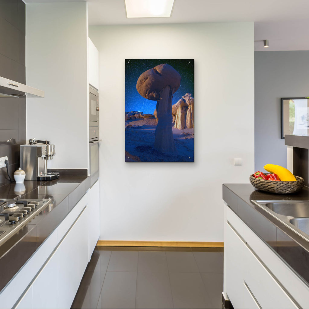 Epic Art 'Just a Rock in the Valley of Dreams' by Lena Owens, Acrylic Glass Wall Art,24x36