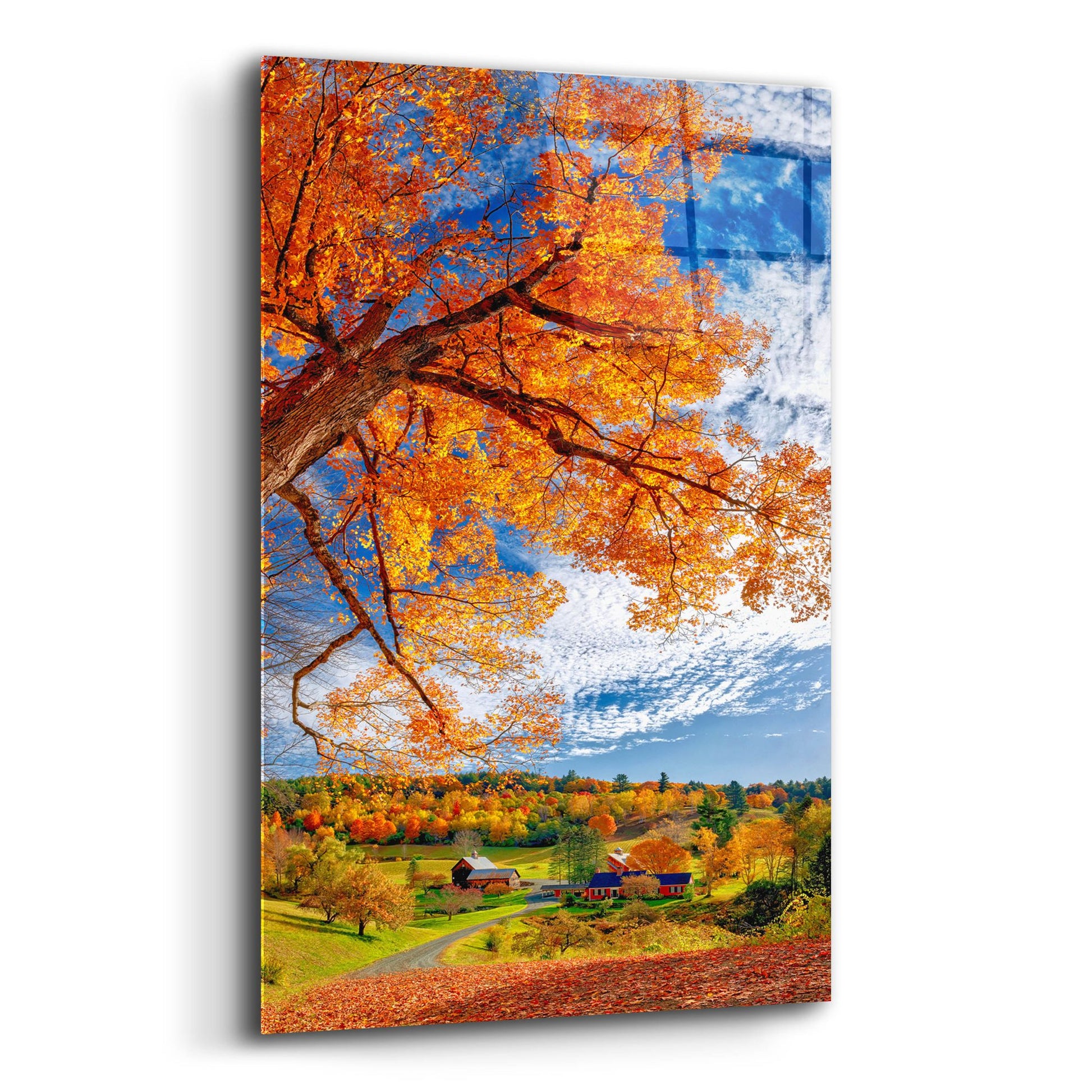 Epic Art 'Sleepy Hollow Farm Vermont Autumn' by Lena Owens, Acrylic Glass Wall Art,12x16