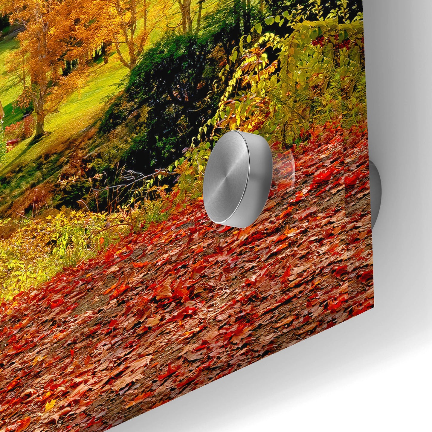 Epic Art 'Sleepy Hollow Farm Vermont Autumn' by Lena Owens, Acrylic Glass Wall Art,24x36