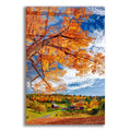 Epic Art 'Sleepy Hollow Farm Vermont Autumn' by Lena Owens, Acrylic Glass Wall Art