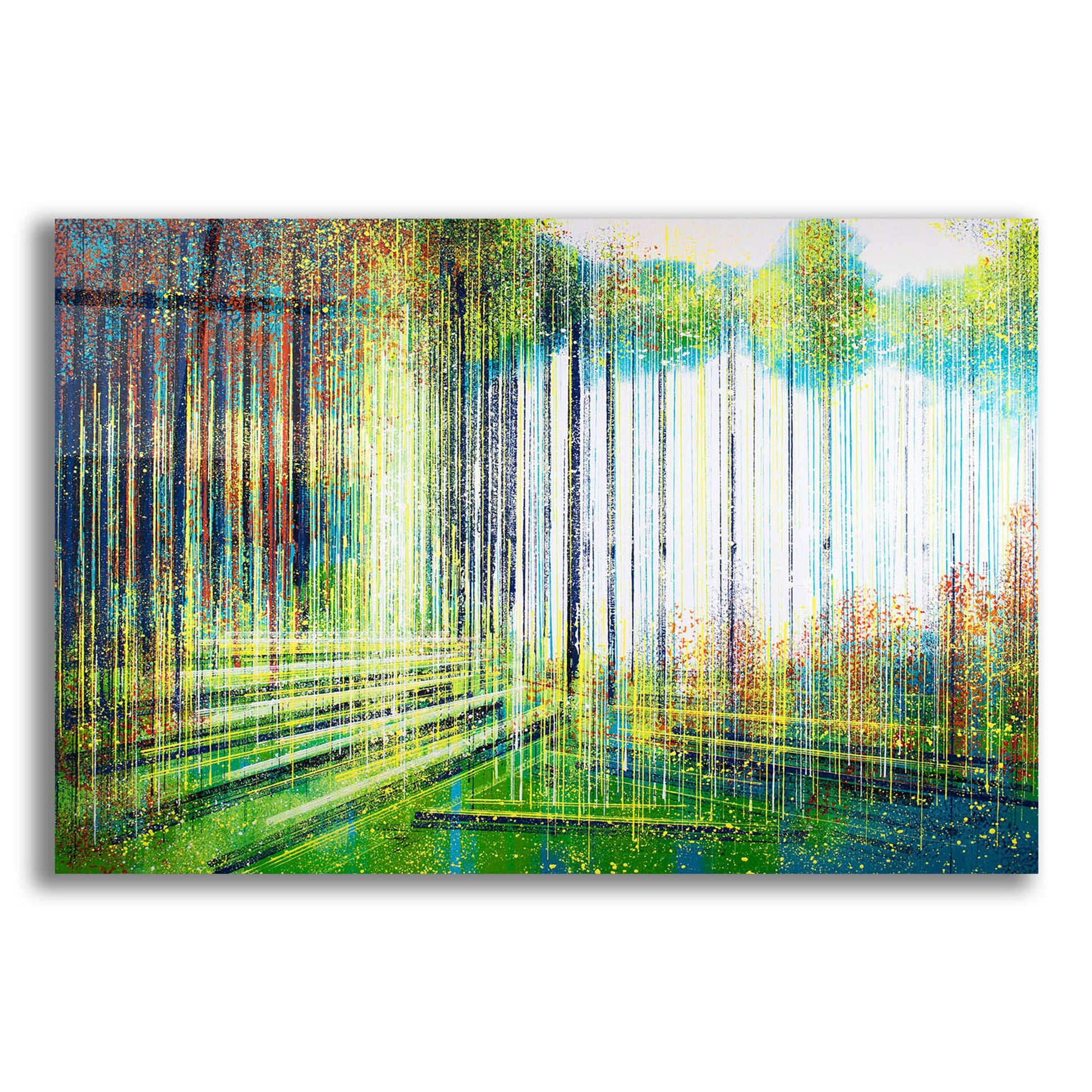 Epic Art 'Forest in Spring' by Marc Todd, Acrylic Glass Wall Art,24x16