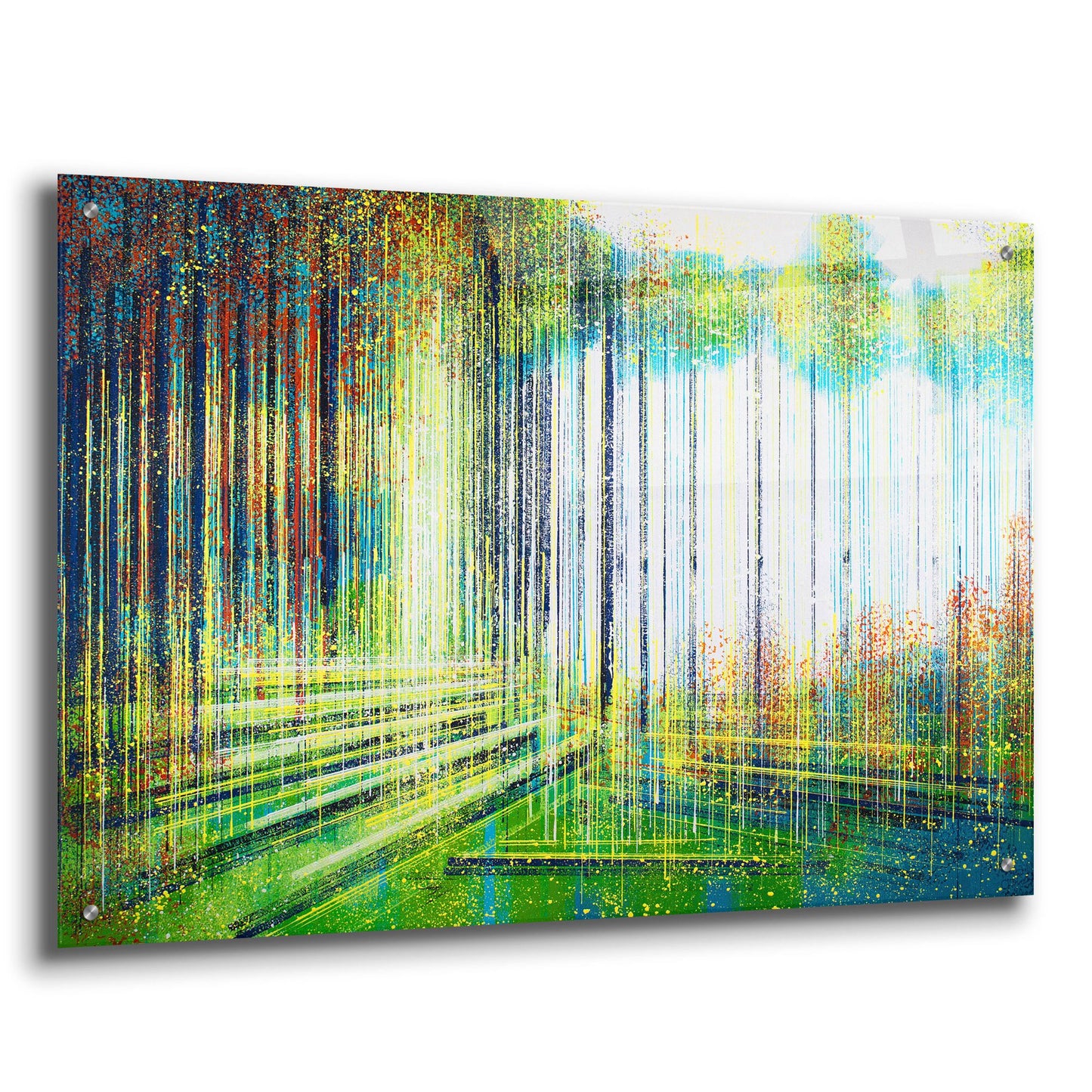 Epic Art 'Forest in Spring' by Marc Todd, Acrylic Glass Wall Art,36x24