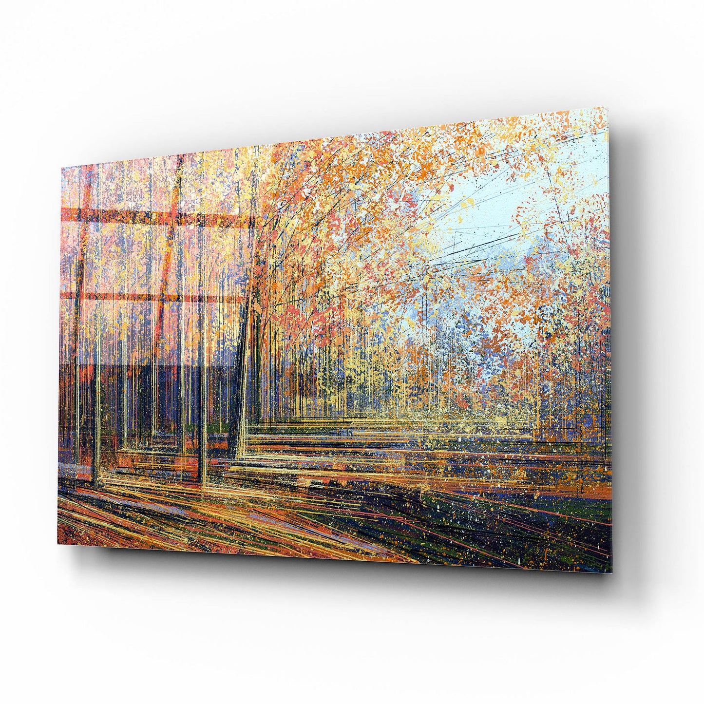 Epic Art ' Forest In Autumn' by Marc Todd, Acrylic Glass Wall Art,16x12