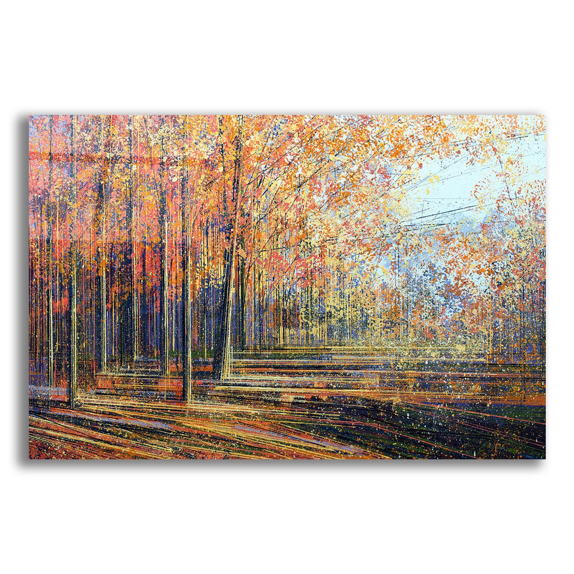 Epic Art ' Forest In Autumn' by Marc Todd, Acrylic Glass Wall Art,24x16