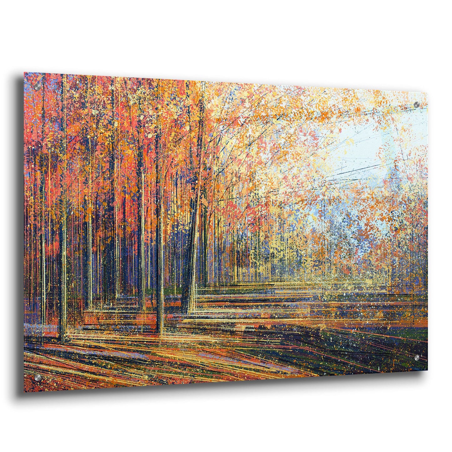 Epic Art ' Forest In Autumn' by Marc Todd, Acrylic Glass Wall Art,36x24