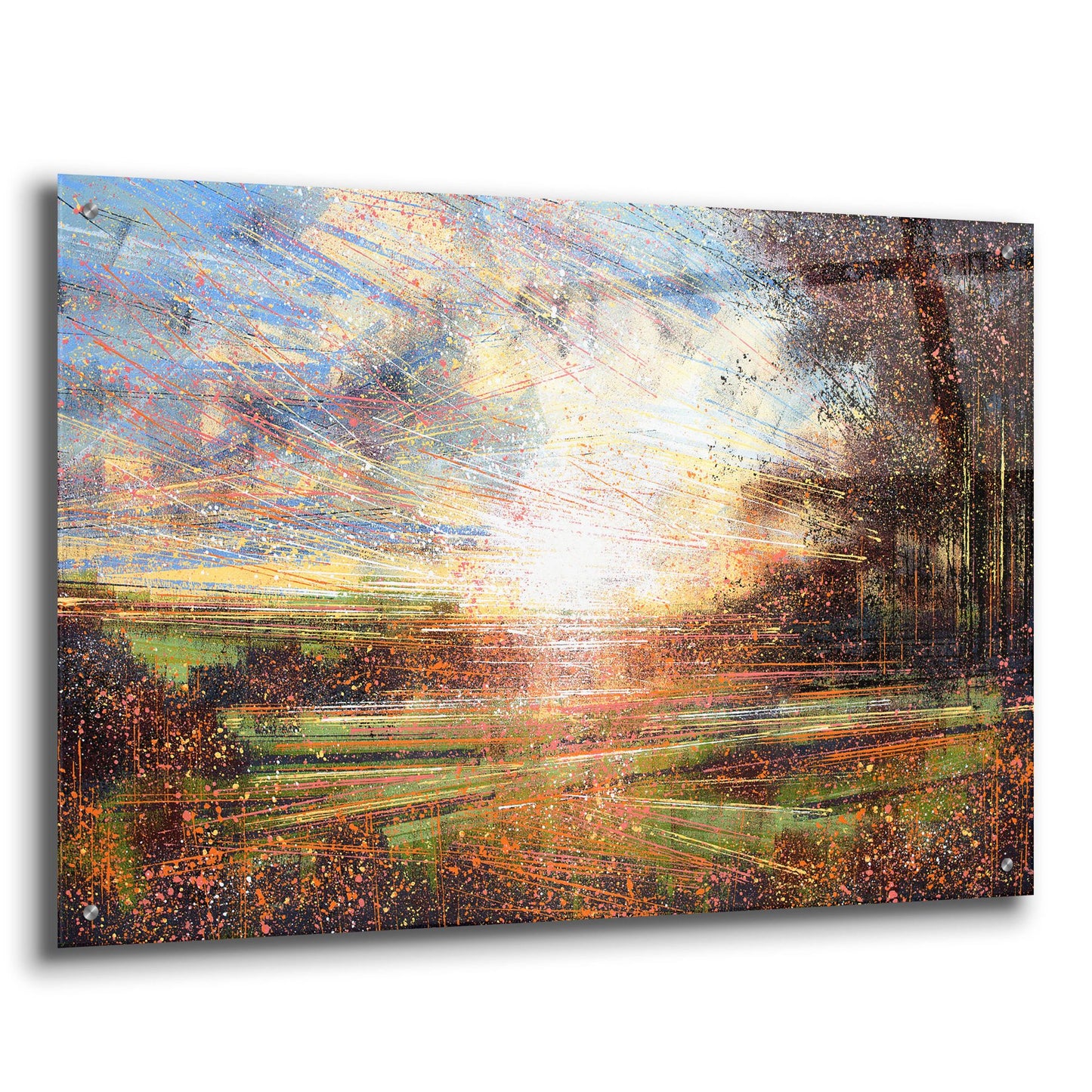 Epic Art 'Autmn Meadow at Sunset' by Marc Todd, Acrylic Glass Wall Art,36x24