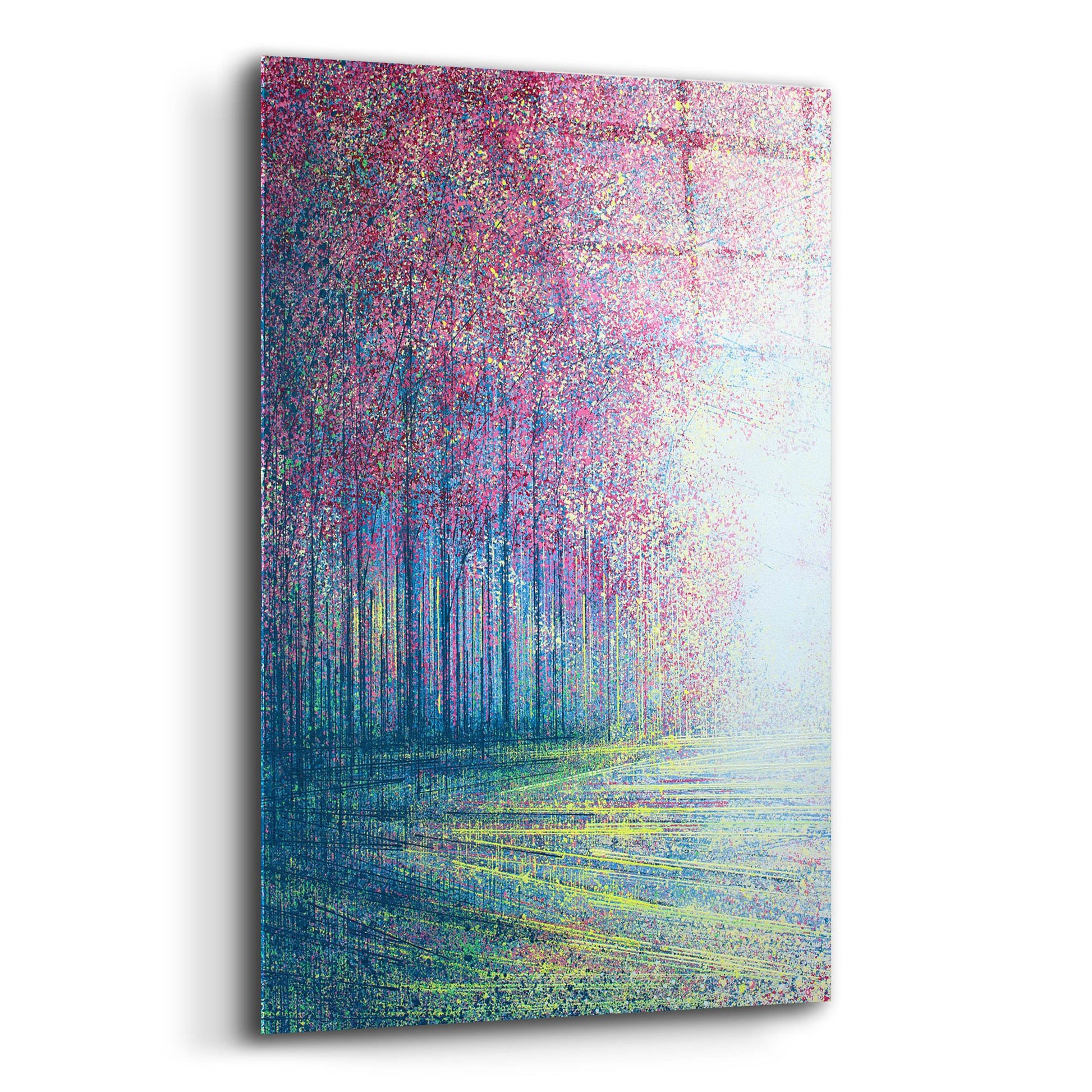 Epic Art 'Tree Blossom in Bright Light' by Marc Todd, Acrylic Glass Wall Art,16x24