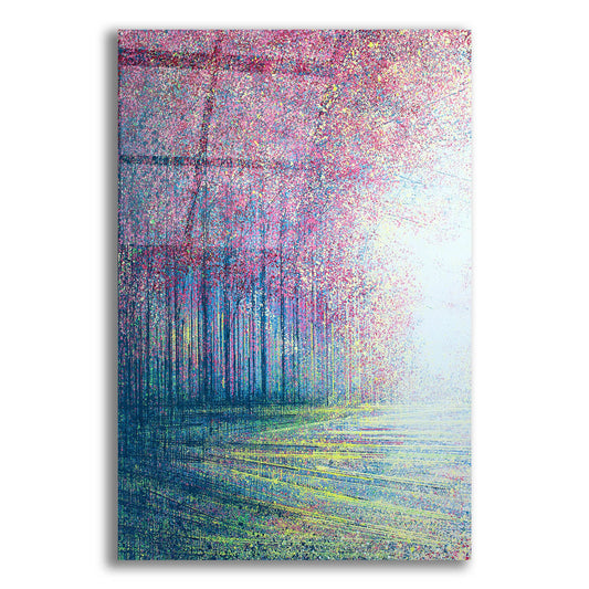 Epic Art 'Tree Blossom in Bright Light' by Marc Todd, Acrylic Glass Wall Art