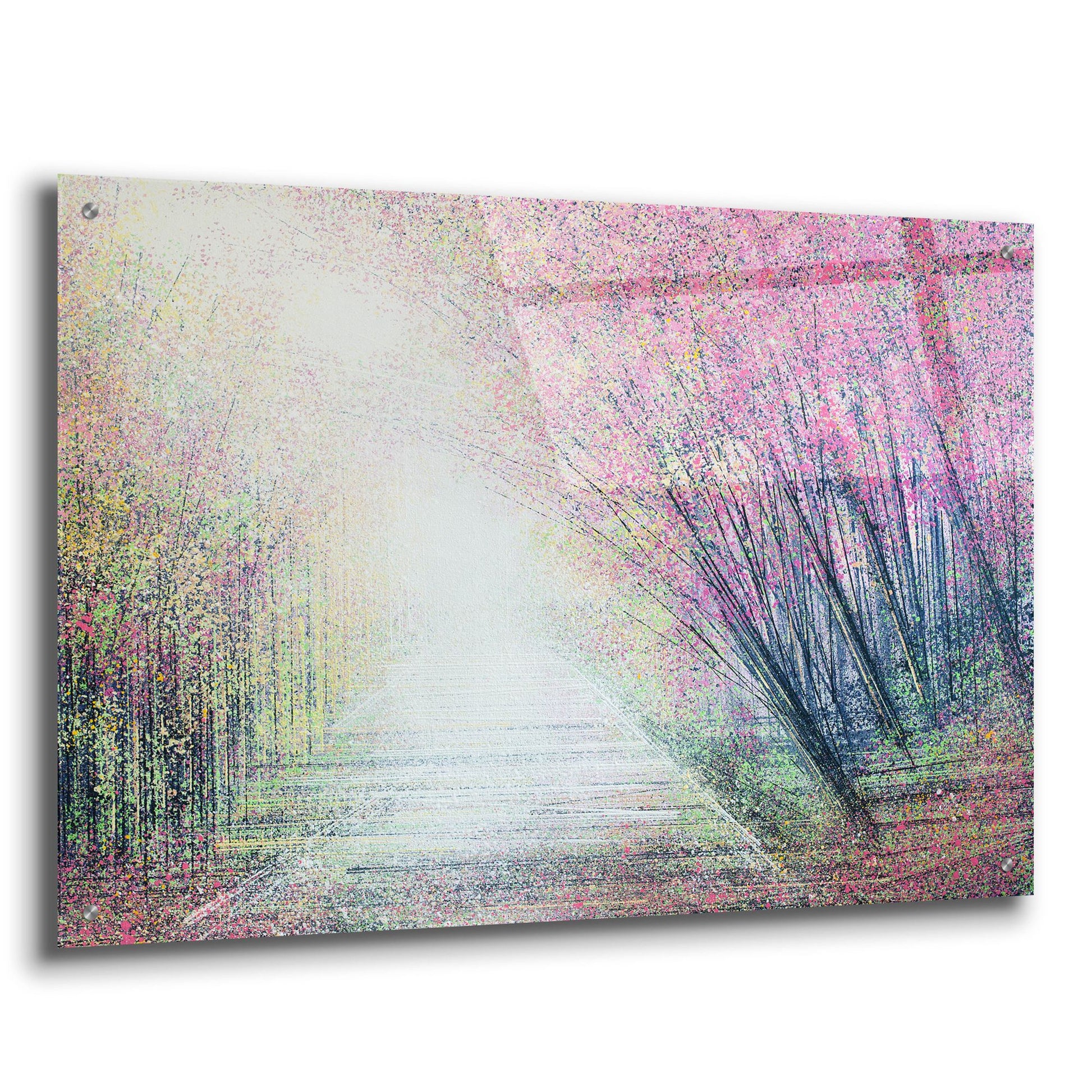 Epic Art 'Forest Path In Spring' by Marc Todd, Acrylic Glass Wall Art,36x24