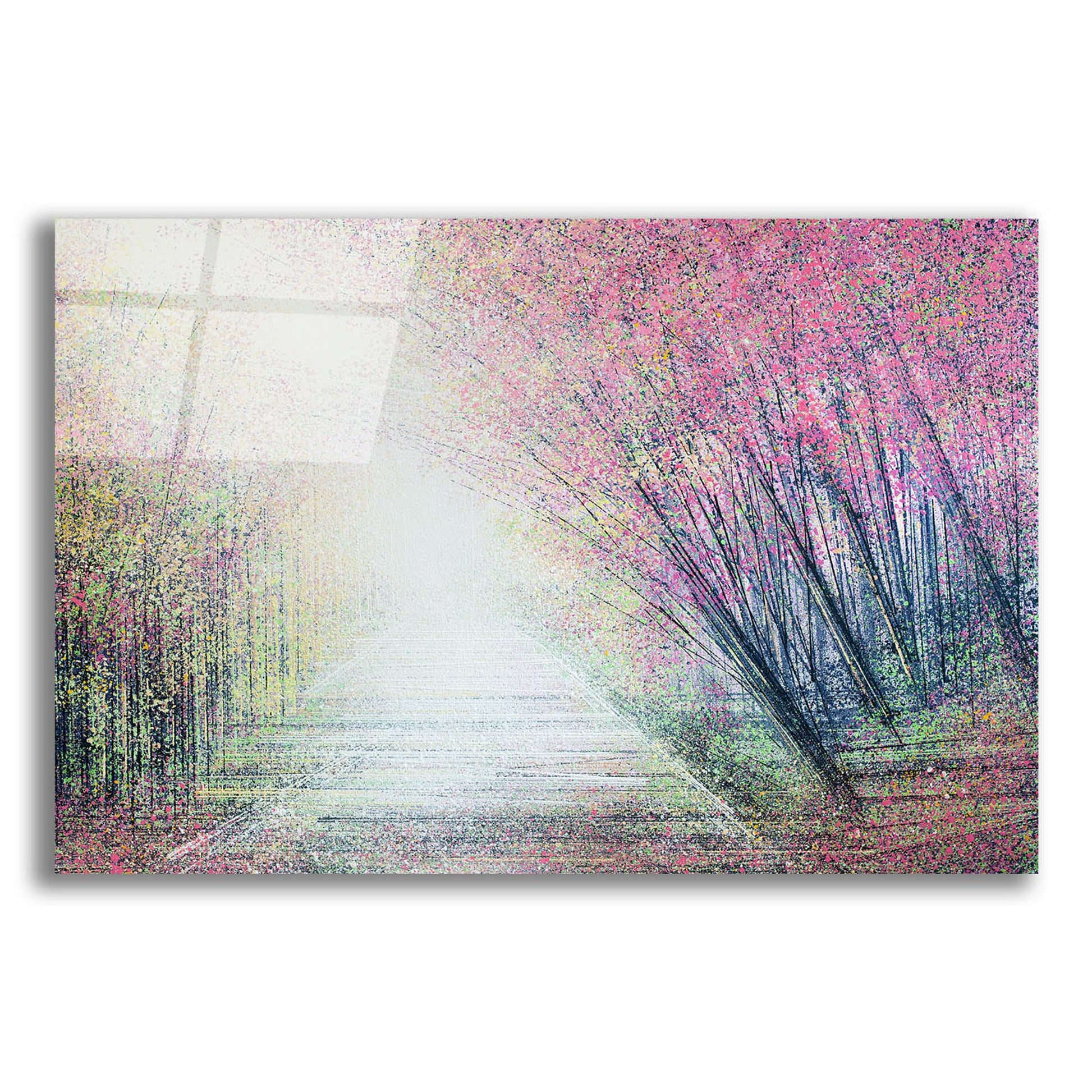 Epic Art 'Forest Path In Spring' by Marc Todd, Acrylic Glass Wall Art