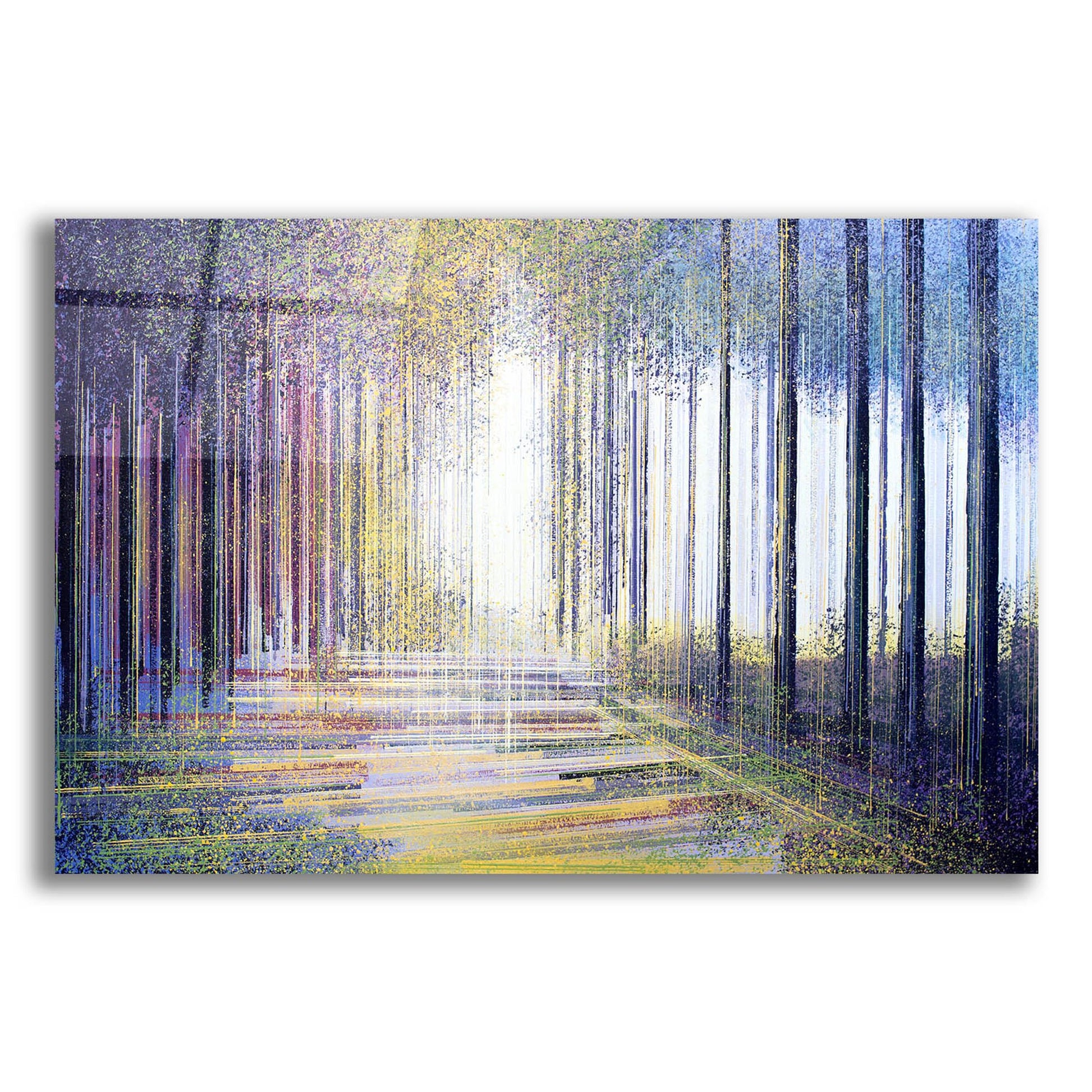 Epic Art 'Tree-Line At Twilight' by Marc Todd, Acrylic Glass Wall Art,24x16