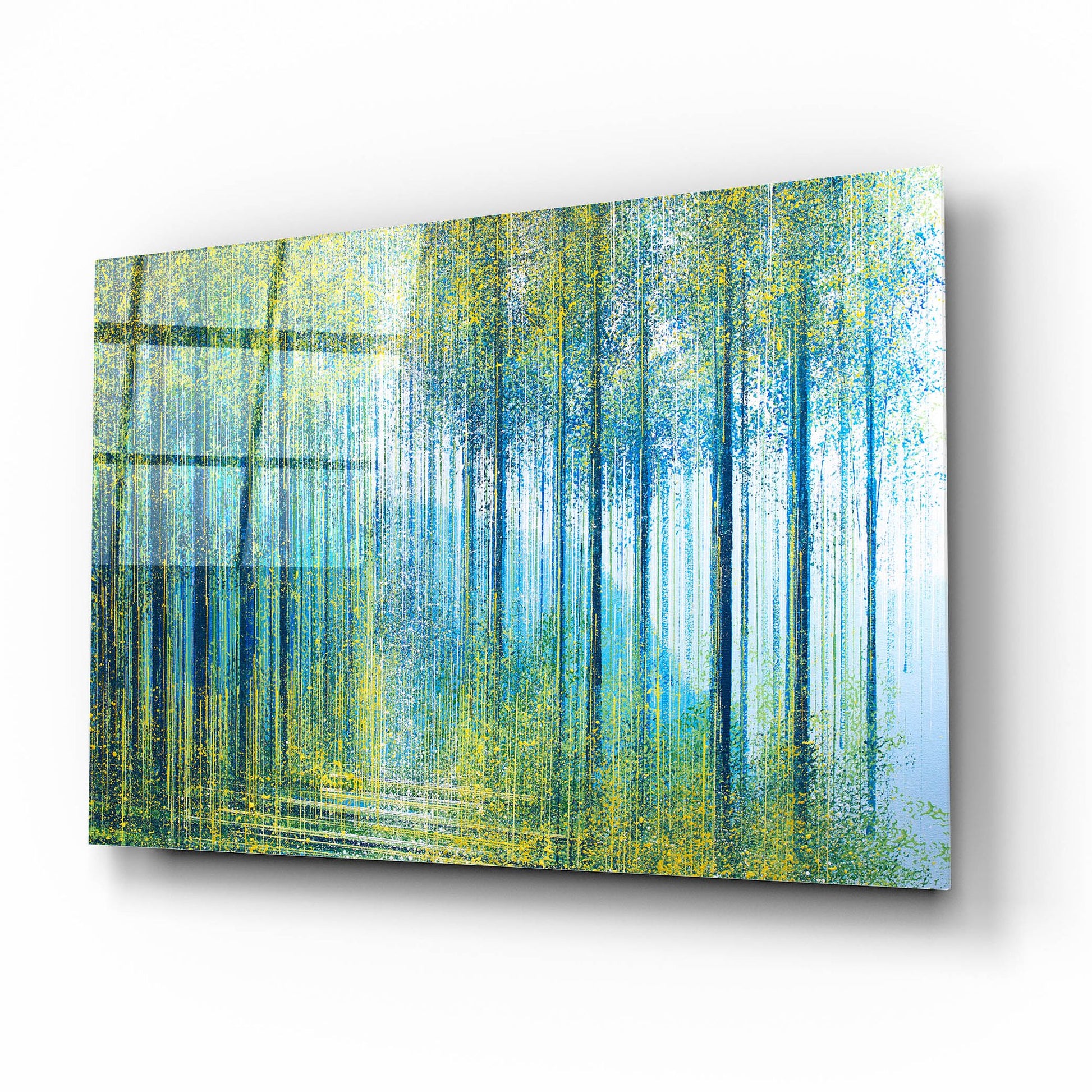 Epic Art 'Spring Light In The Forest' by Marc Todd, Acrylic Glass Wall Art,16x12