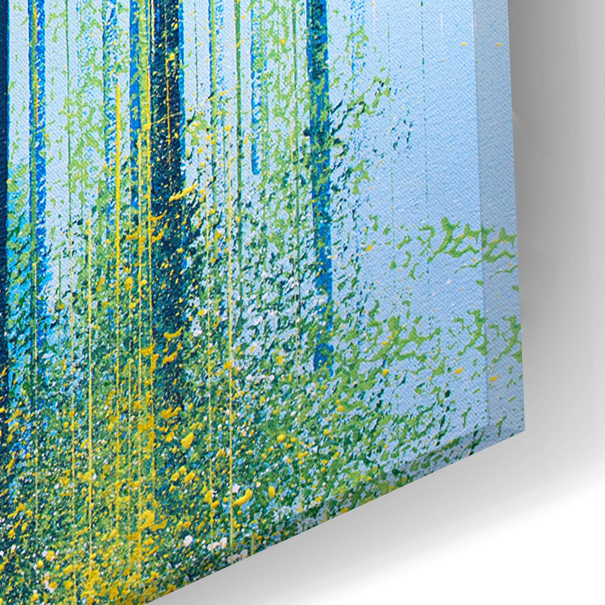 Epic Art 'Spring Light In The Forest' by Marc Todd, Acrylic Glass Wall Art,16x12