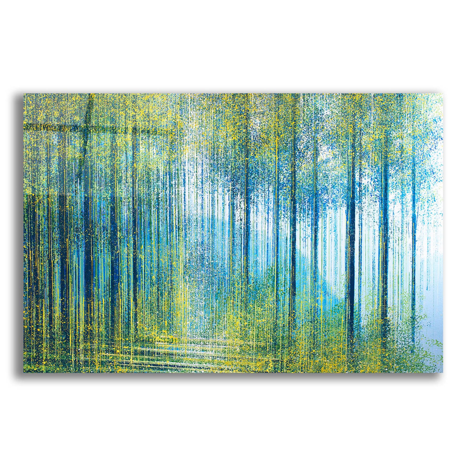 Epic Art 'Spring Light In The Forest' by Marc Todd, Acrylic Glass Wall Art,24x16