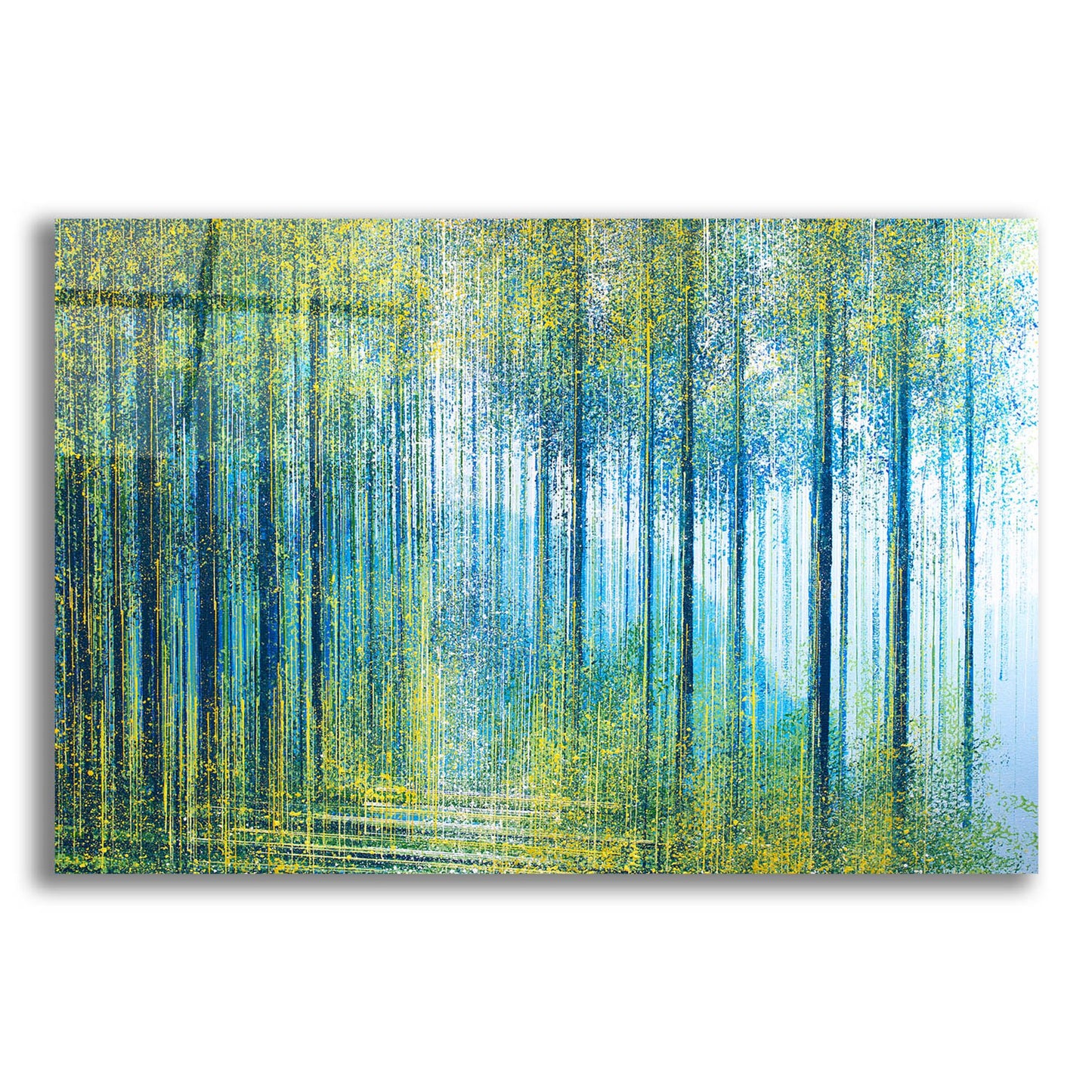 Epic Art 'Spring Light In The Forest' by Marc Todd, Acrylic Glass Wall Art