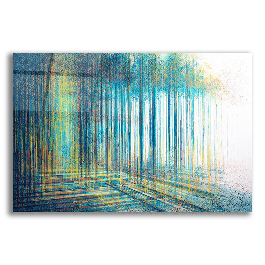 Epic Art 'Forest Edge At Twilight' by Marc Todd, Acrylic Glass Wall Art