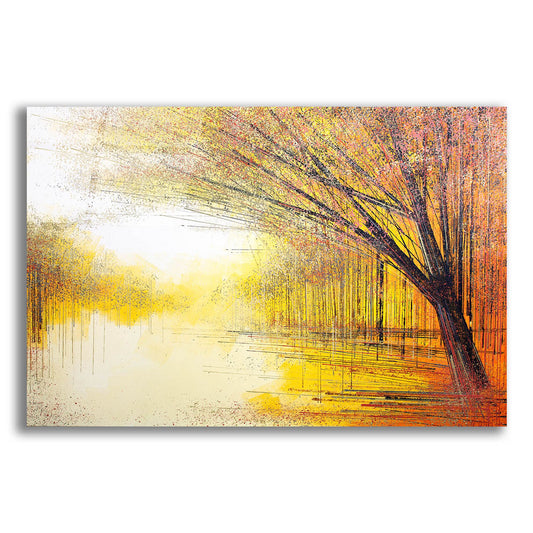 Epic Art 'Trees In A Golden Glow' by Marc Todd, Acrylic Glass Wall Art