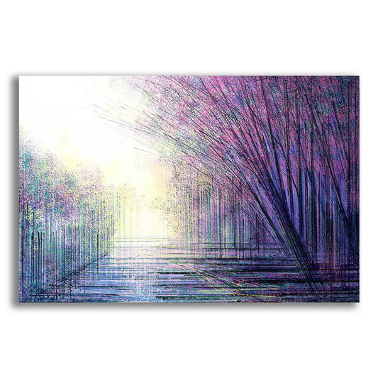 Epic Art 'Spring Blossom At Twilight' by Marc Todd, Acrylic Glass Wall Art