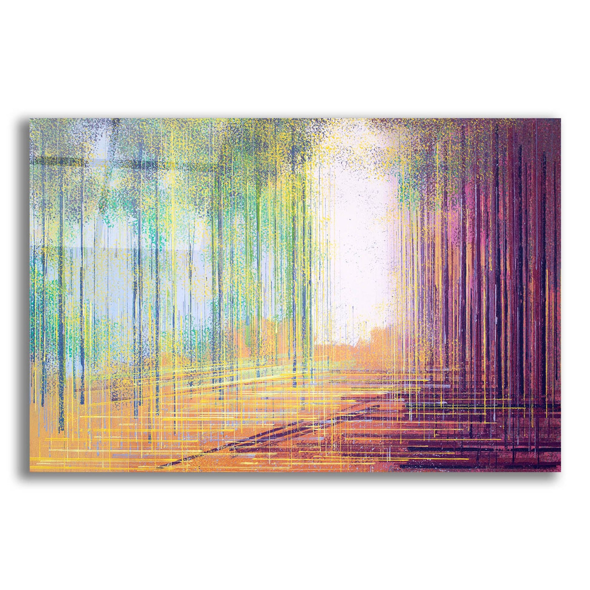 Epic Art 'Morning in the Forest' by Marc Todd, Acrylic Glass Wall Art,24x16