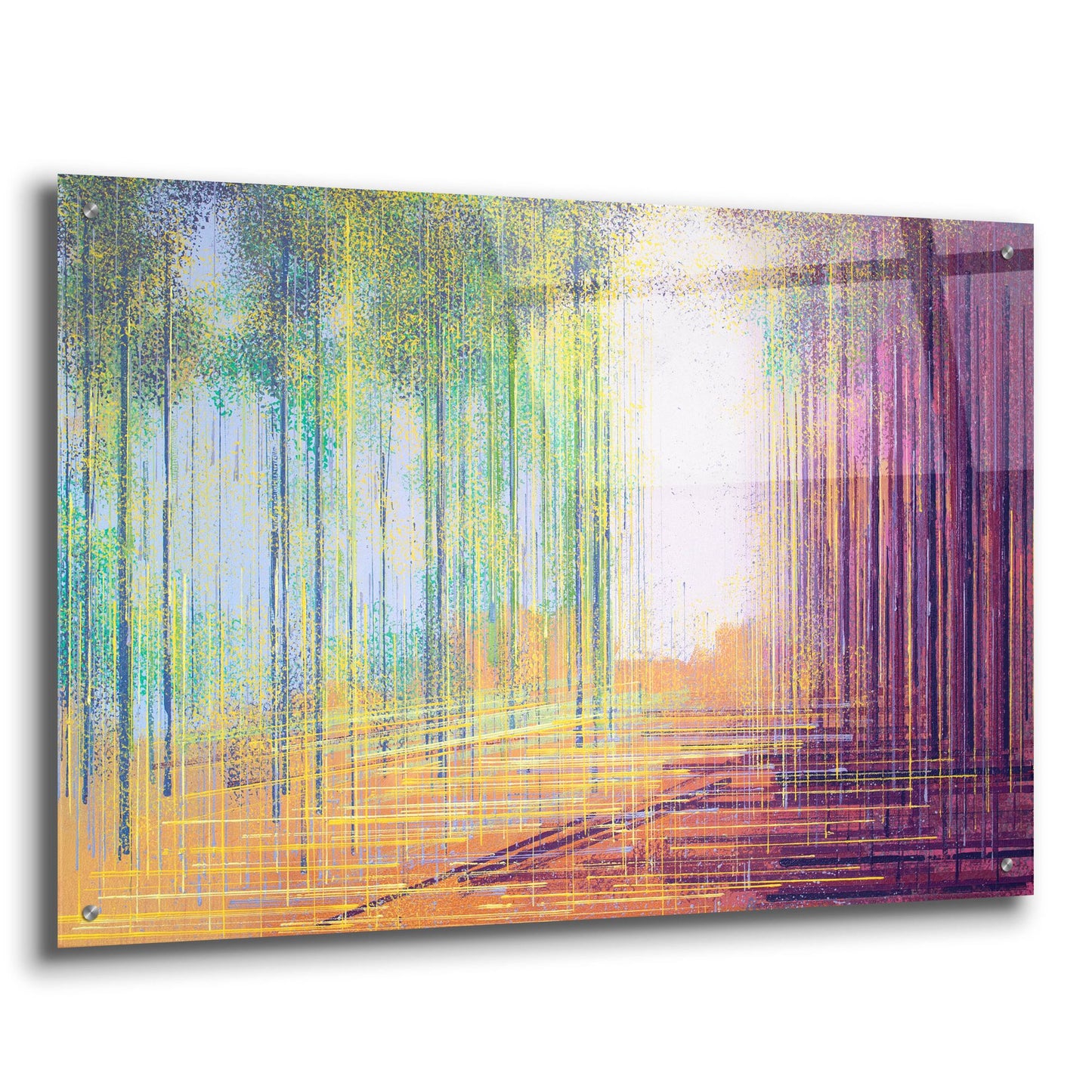 Epic Art 'Morning in the Forest' by Marc Todd, Acrylic Glass Wall Art,36x24