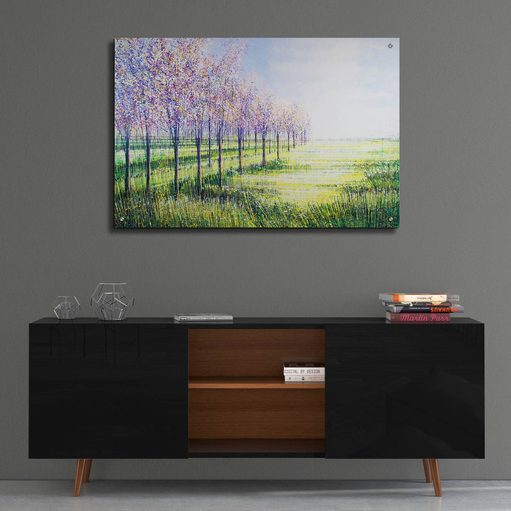 Epic Art 'Orchard Trees In Blossom' by Marc Todd, Acrylic Glass Wall Art,36x24