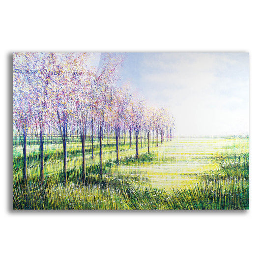 Epic Art 'Orchard Trees In Blossom' by Marc Todd, Acrylic Glass Wall Art