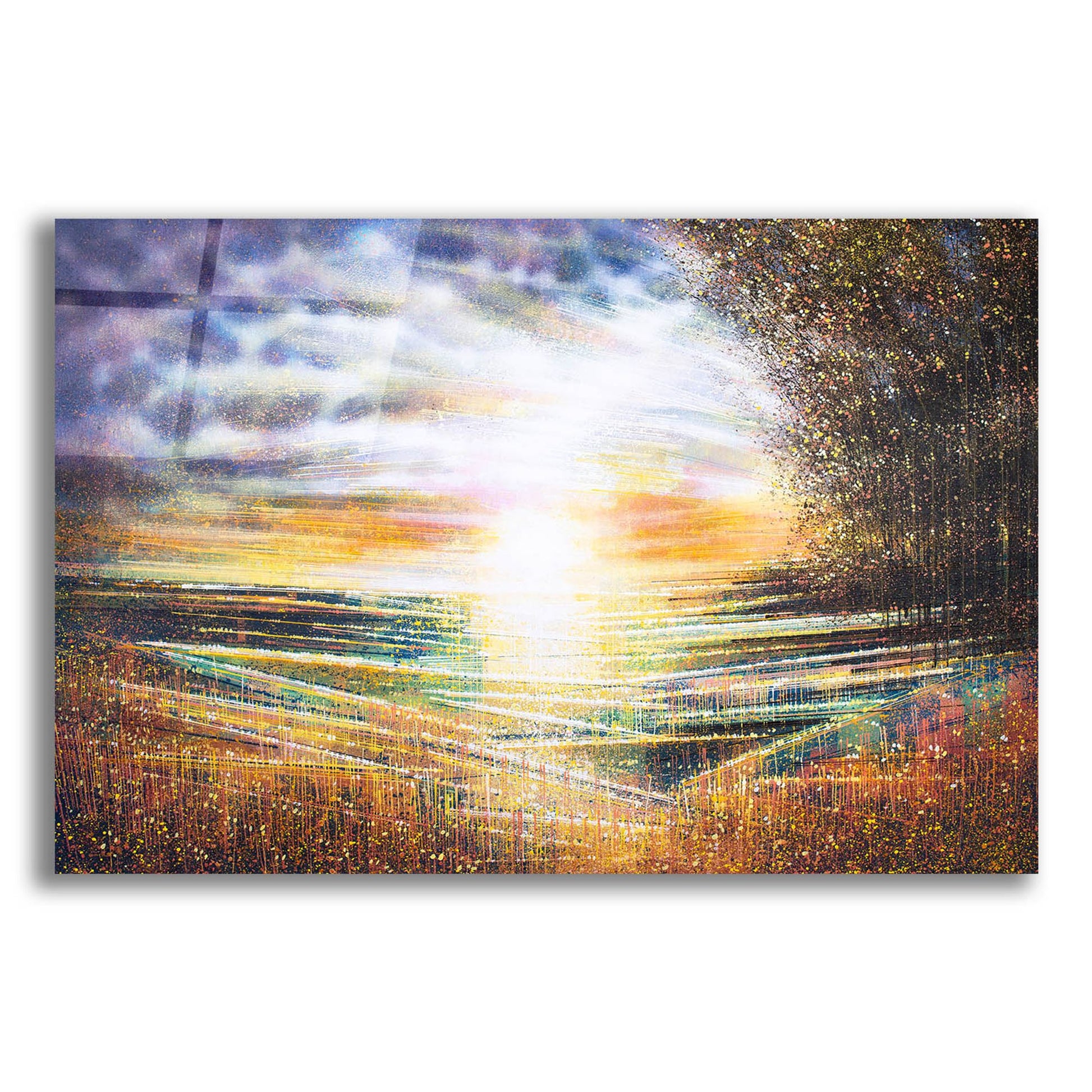 Epic Art 'Meadow at Sunset' by Marc Todd, Acrylic Glass Wall Art,24x16