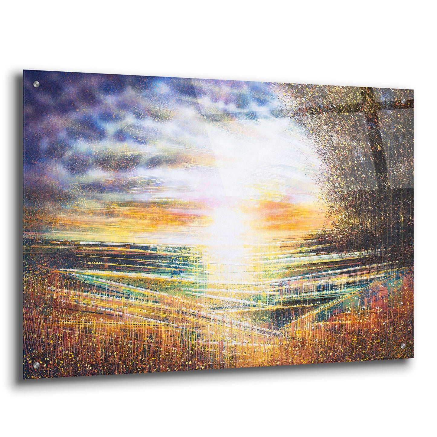 Epic Art 'Meadow at Sunset' by Marc Todd, Acrylic Glass Wall Art,36x24