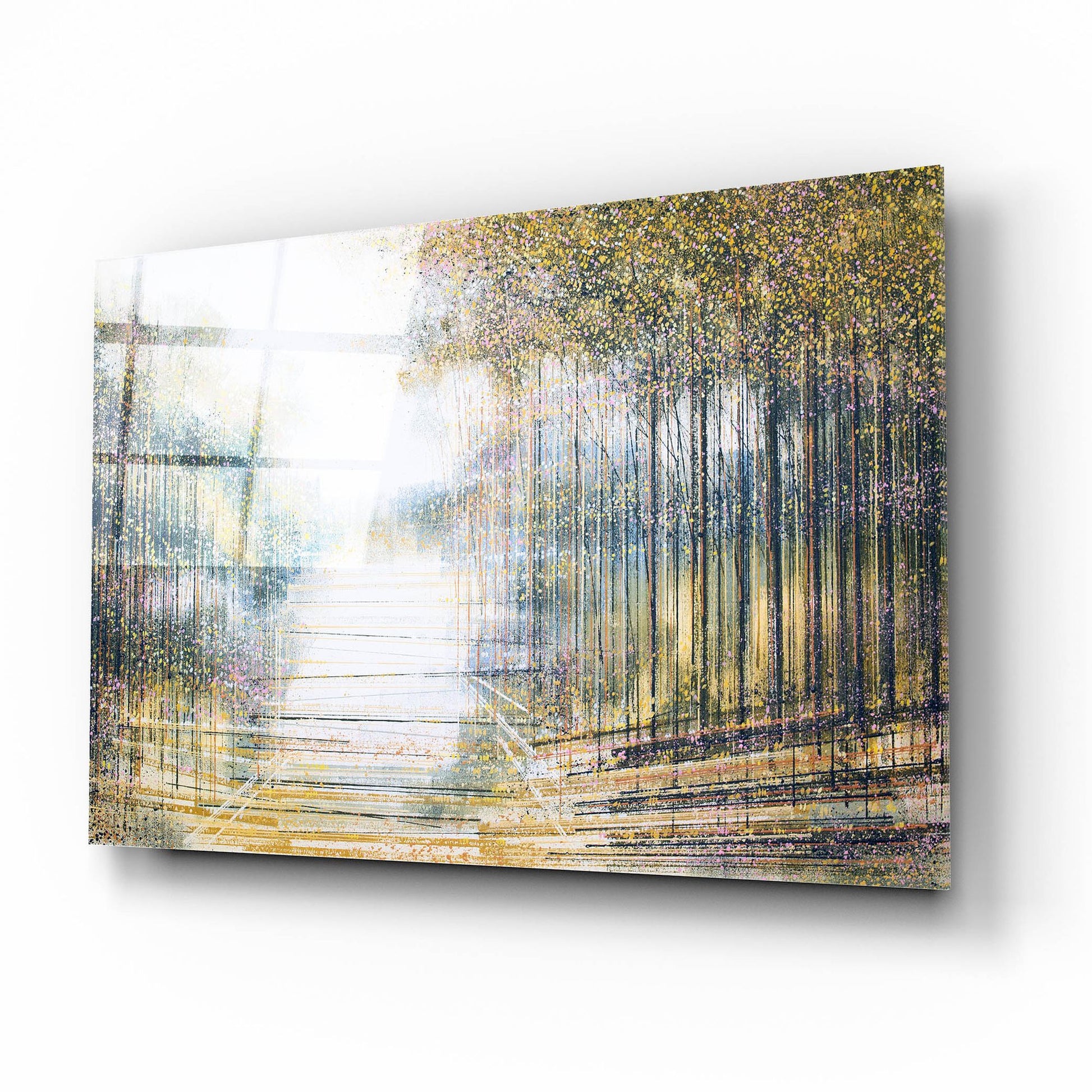 Epic Art 'Trees In Hazy Afternoon Light' by Marc Todd, Acrylic Glass Wall Art,16x12