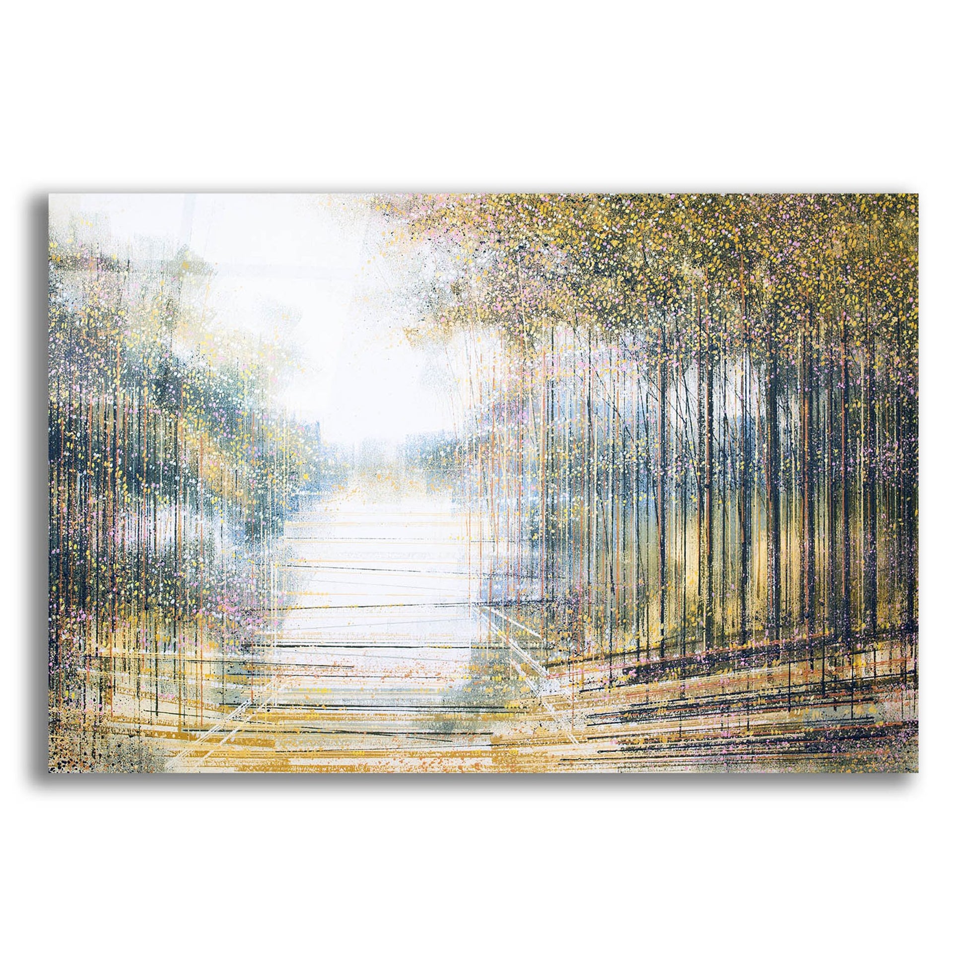 Epic Art 'Trees In Hazy Afternoon Light' by Marc Todd, Acrylic Glass Wall Art,24x16