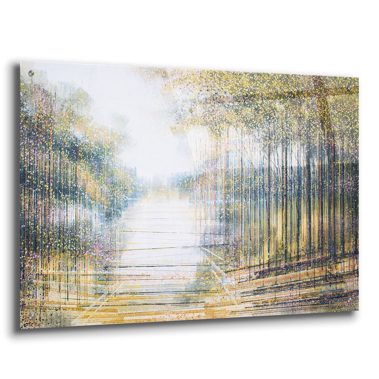 Epic Art 'Trees In Hazy Afternoon Light' by Marc Todd, Acrylic Glass Wall Art,36x24