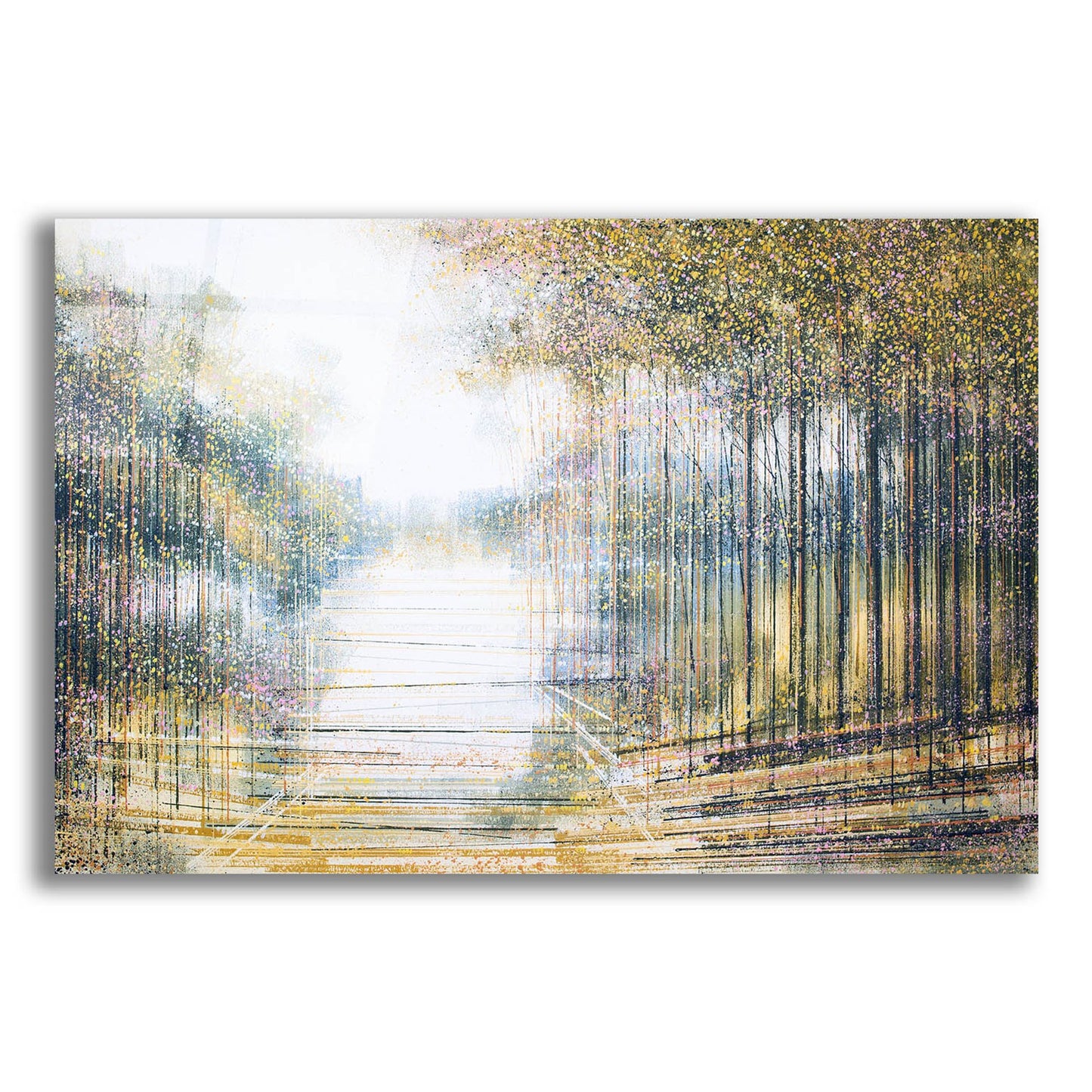 Epic Art 'Trees In Hazy Afternoon Light' by Marc Todd, Acrylic Glass Wall Art