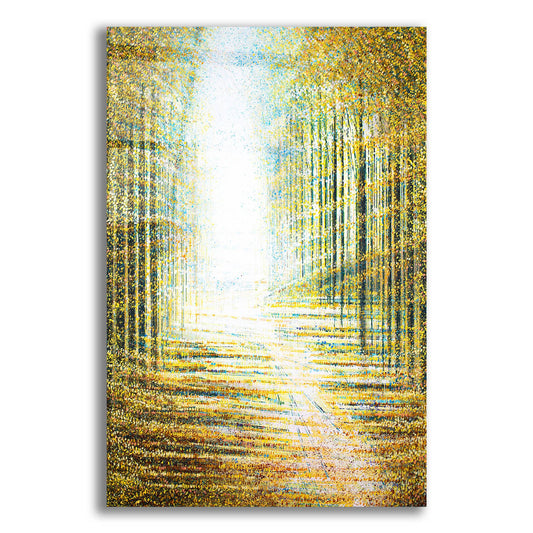 Epic Art 'A Path Through the Forest' by Marc Todd, Acrylic Glass Wall Art