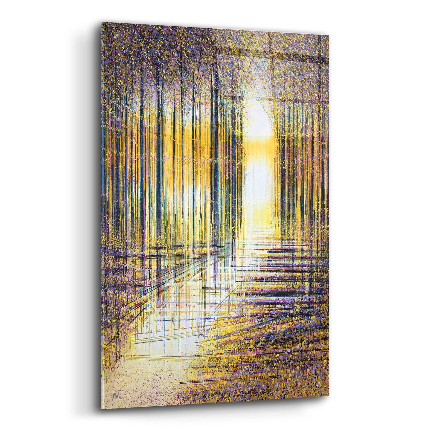 Epic Art 'Autumn Trees in Evening Light' by Marc Todd, Acrylic Glass Wall Art,24x36