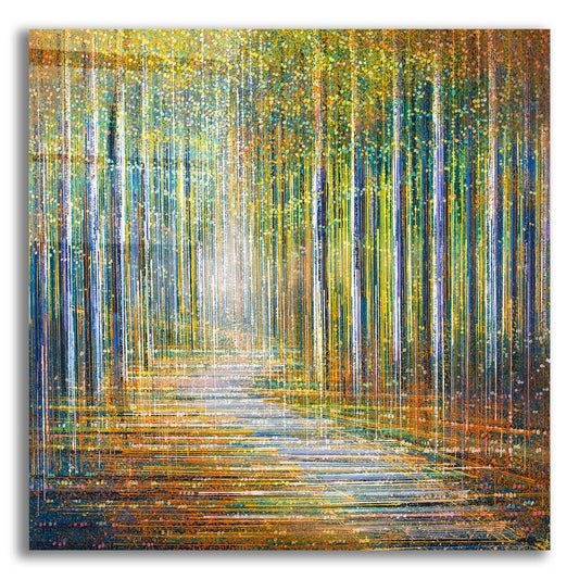 Epic Art 'Summer Forest at Sunset' by Marc Todd, Acrylic Glass Wall Art