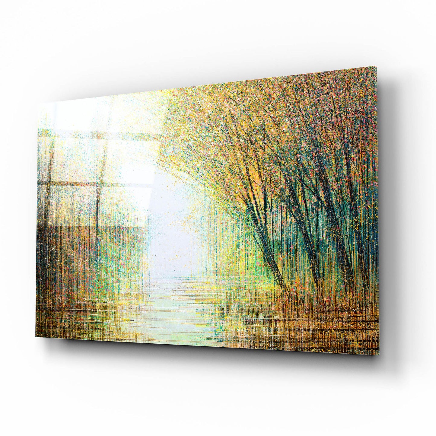 Epic Art 'Autumn Woodland' by Marc Todd, Acrylic Glass Wall Art,16x12