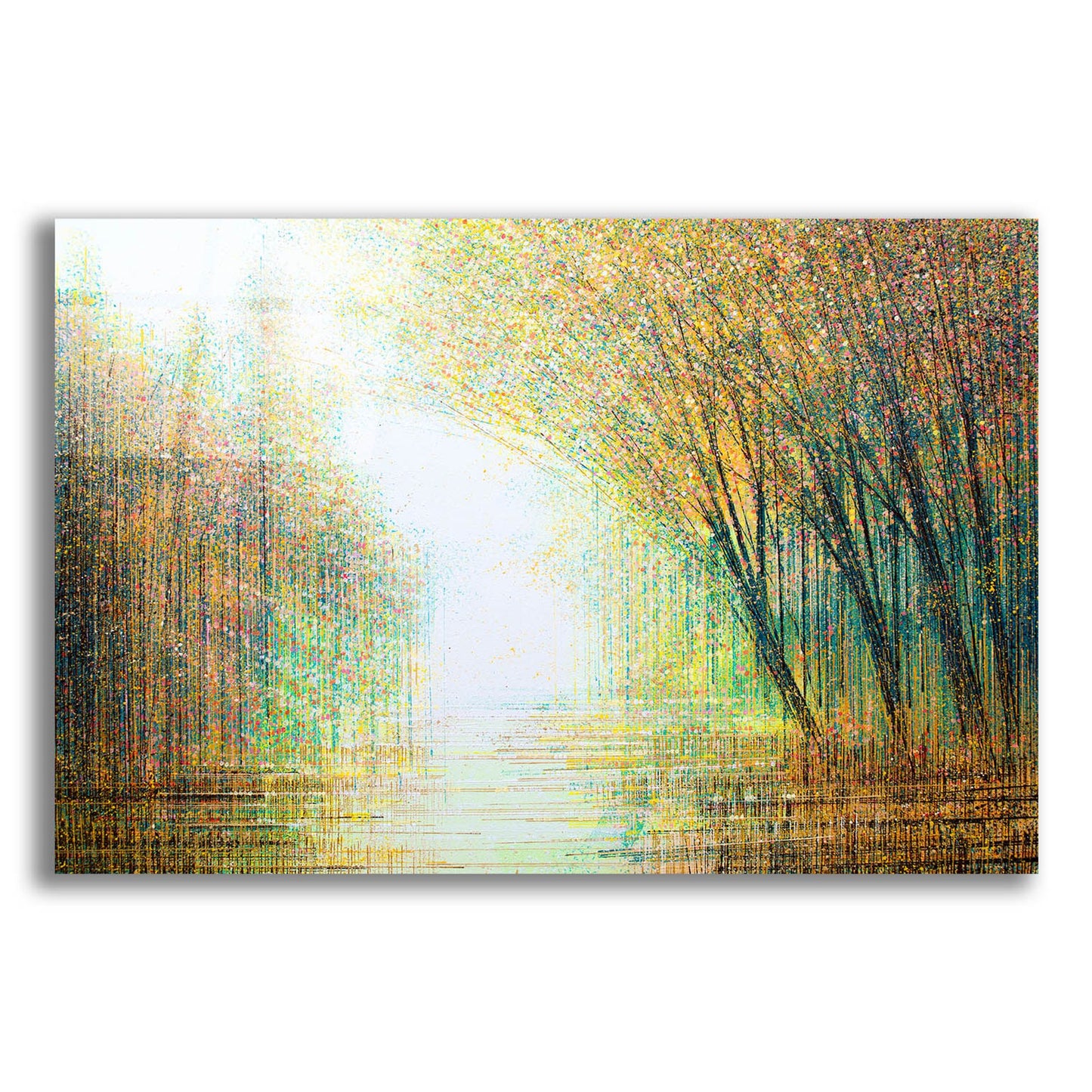 Epic Art 'Autumn Woodland' by Marc Todd, Acrylic Glass Wall Art,24x16