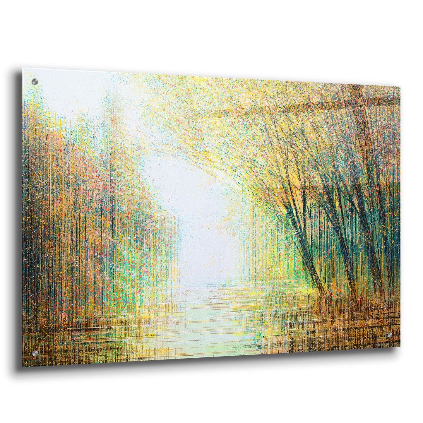 Epic Art 'Autumn Woodland' by Marc Todd, Acrylic Glass Wall Art,36x24