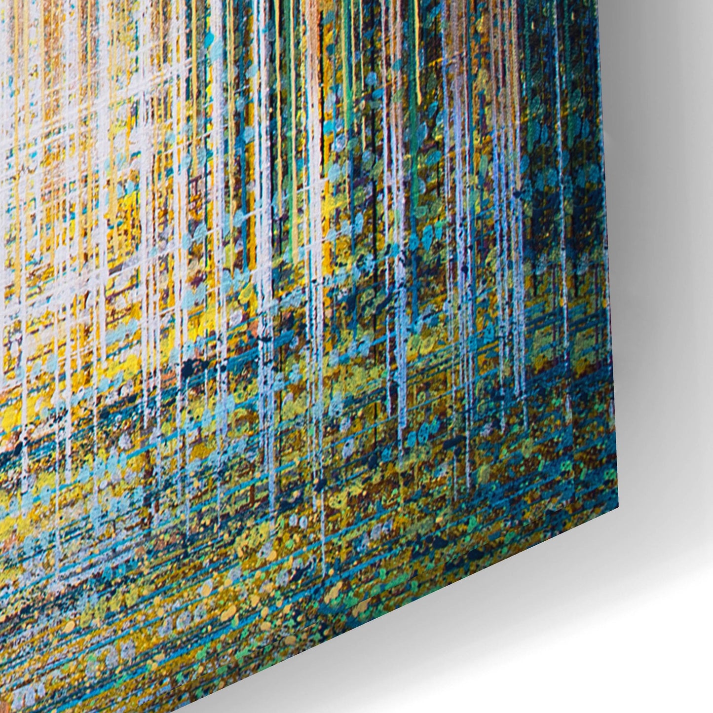 Epic Art 'Light Dancing Through The Forest' by Marc Todd, Acrylic Glass Wall Art,24x16