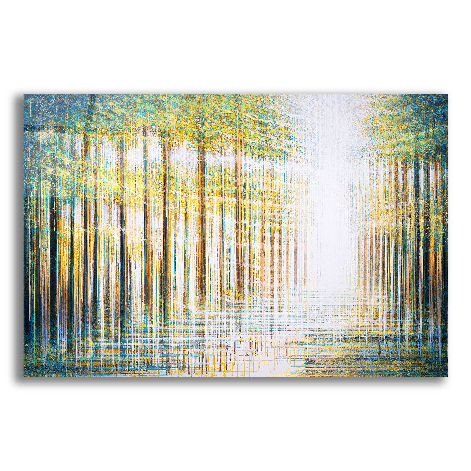 Epic Art 'Light Dancing Through The Forest' by Marc Todd, Acrylic Glass Wall Art,24x16