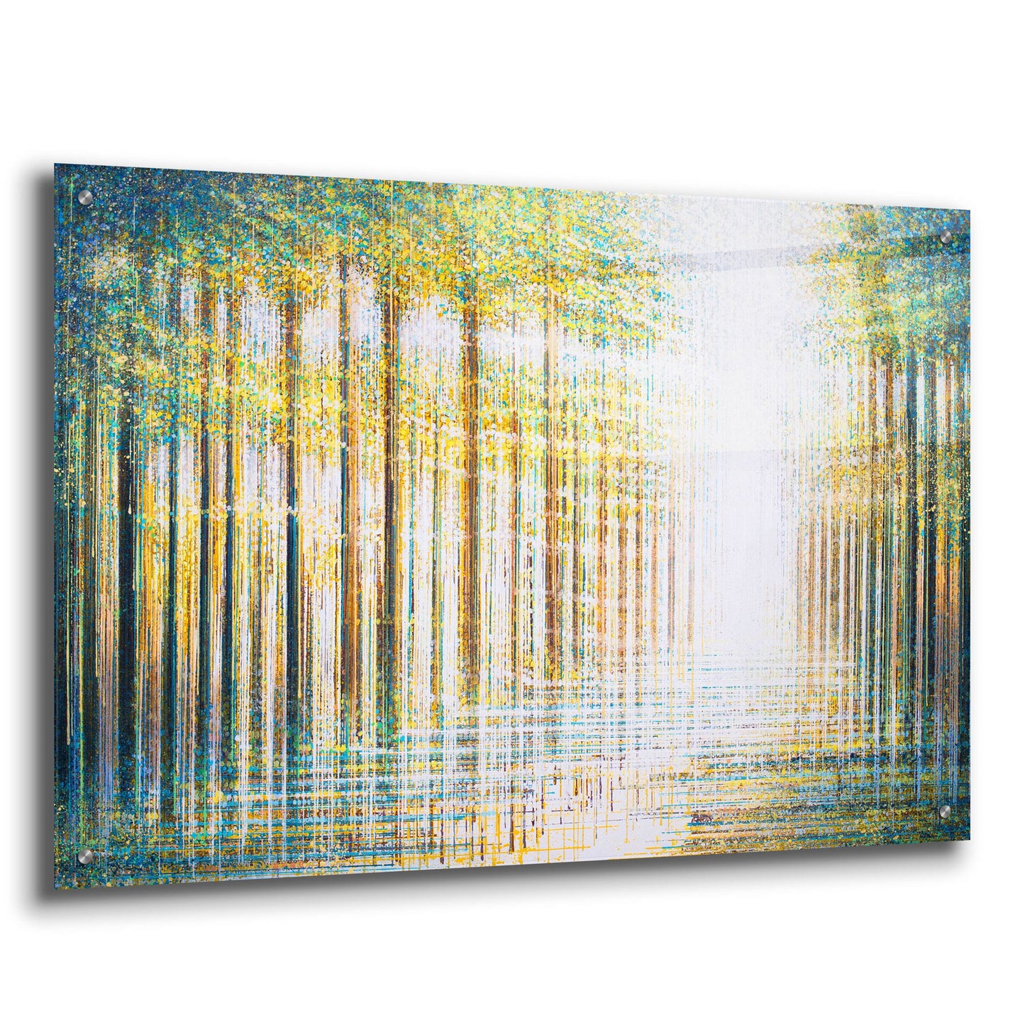 Epic Art 'Light Dancing Through The Forest' by Marc Todd, Acrylic Glass Wall Art,36x24