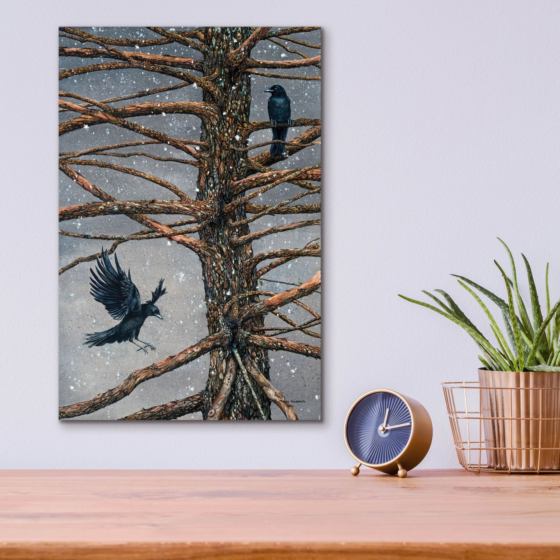 Epic Art 'Corvus Corvidae and the Cedar' by Maggie Vandewalle, Acrylic Glass Wall Art,12x16